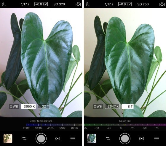Top 10 ứng dụng (app) chụp ảnh chuyên nghiệp cho iPhone - ProCamera